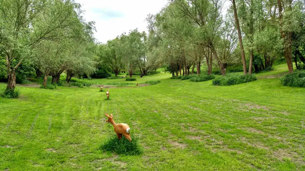 Instinktives Bogenschiessen Ziele