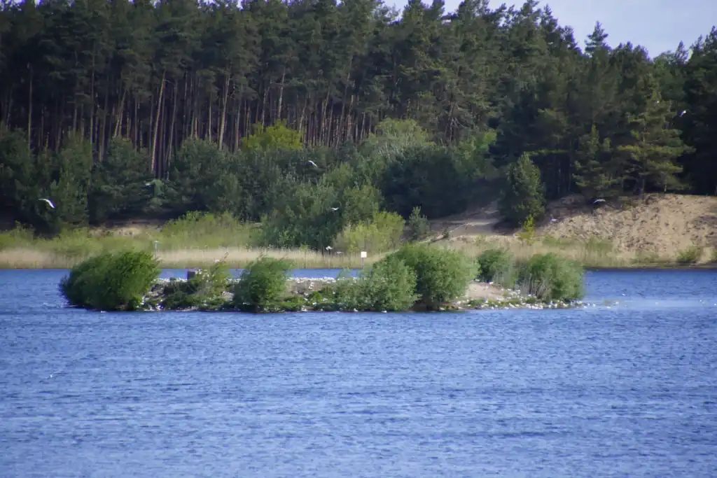 Möweninsel im Krugsdorfer See