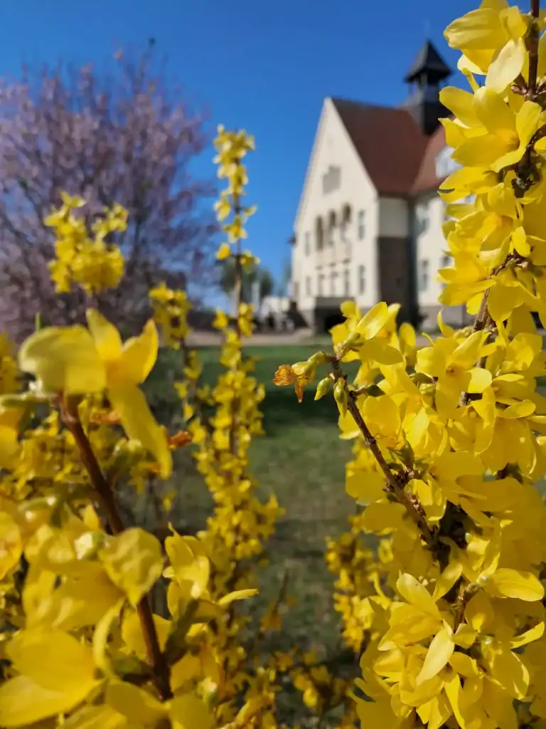 Frühling Schloss Krugsdorf