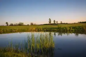 See am Golfplatz